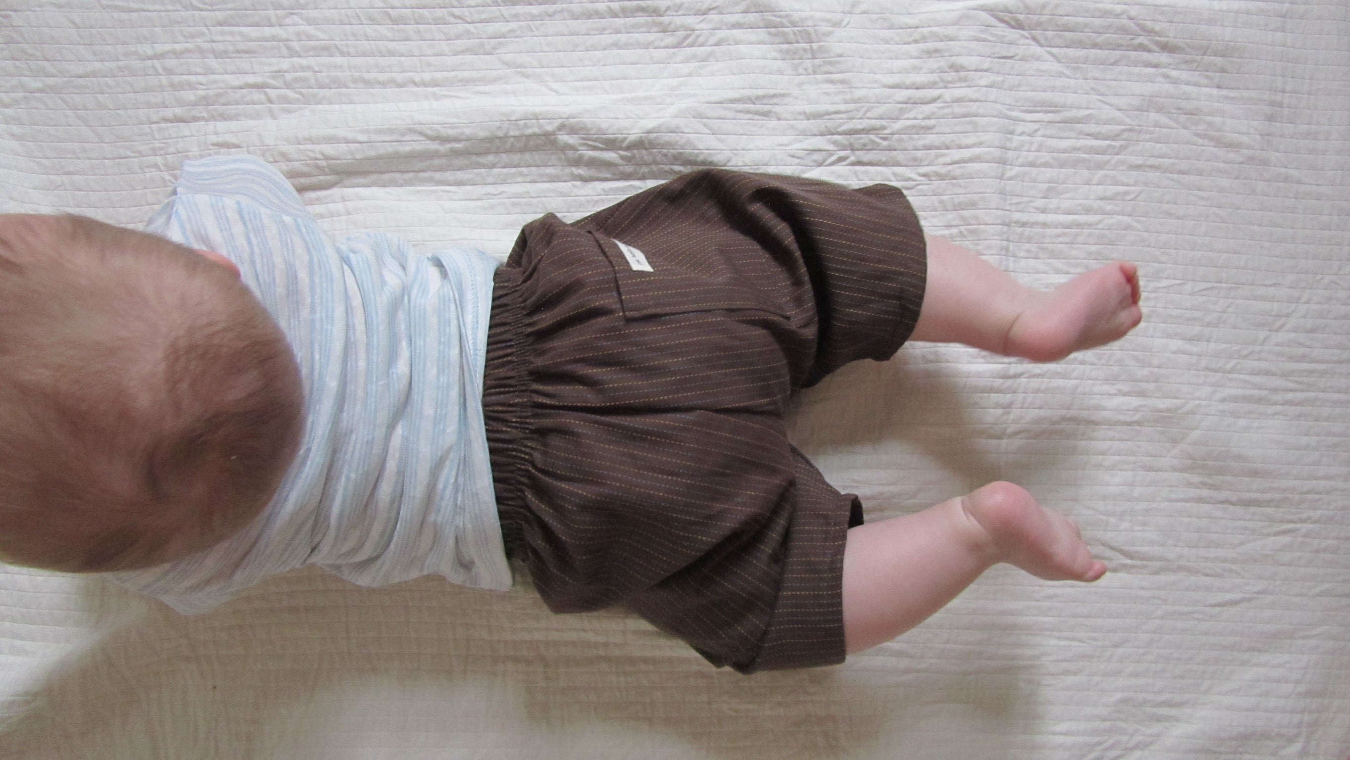Linen Summer Shorts