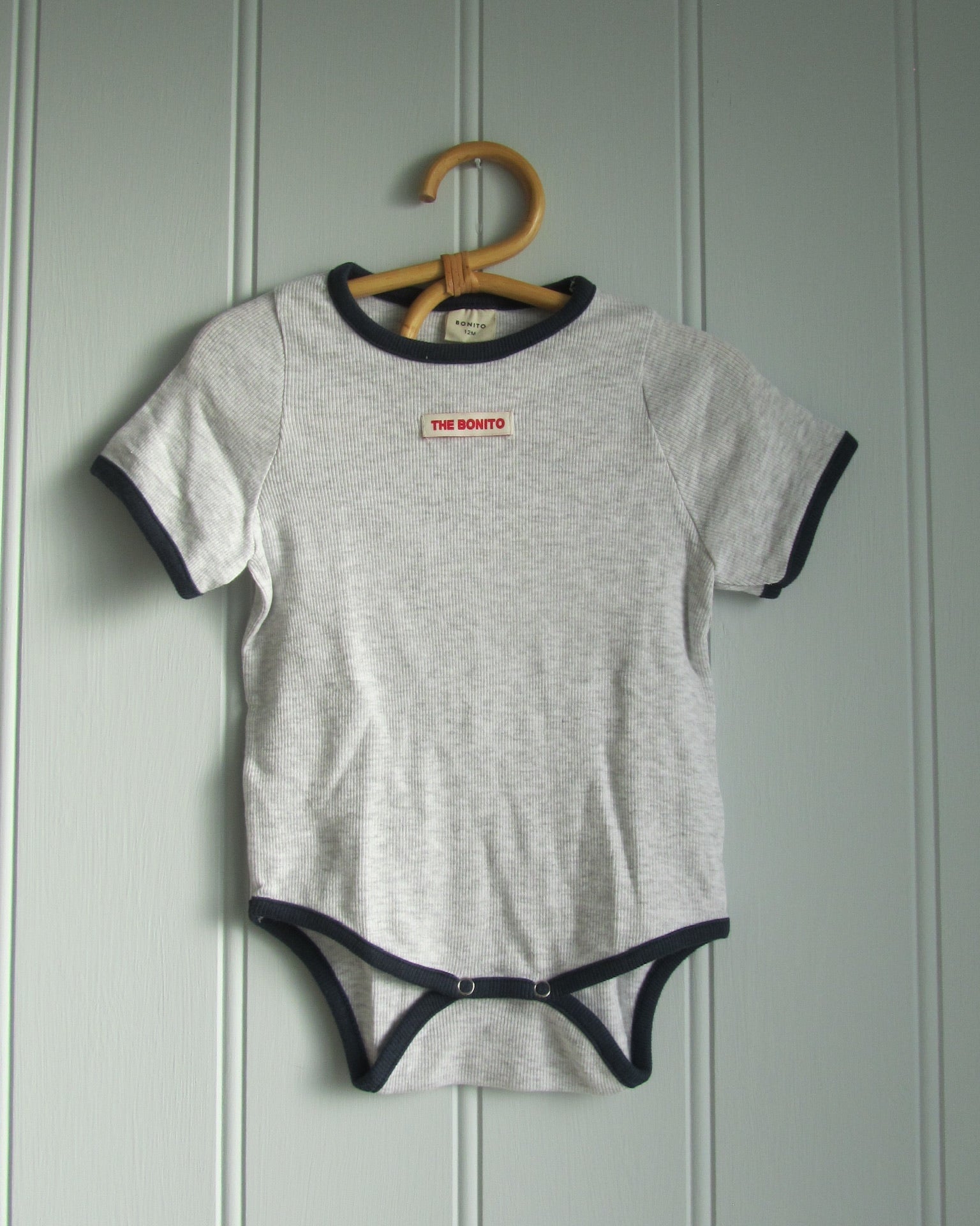 Ribbet body