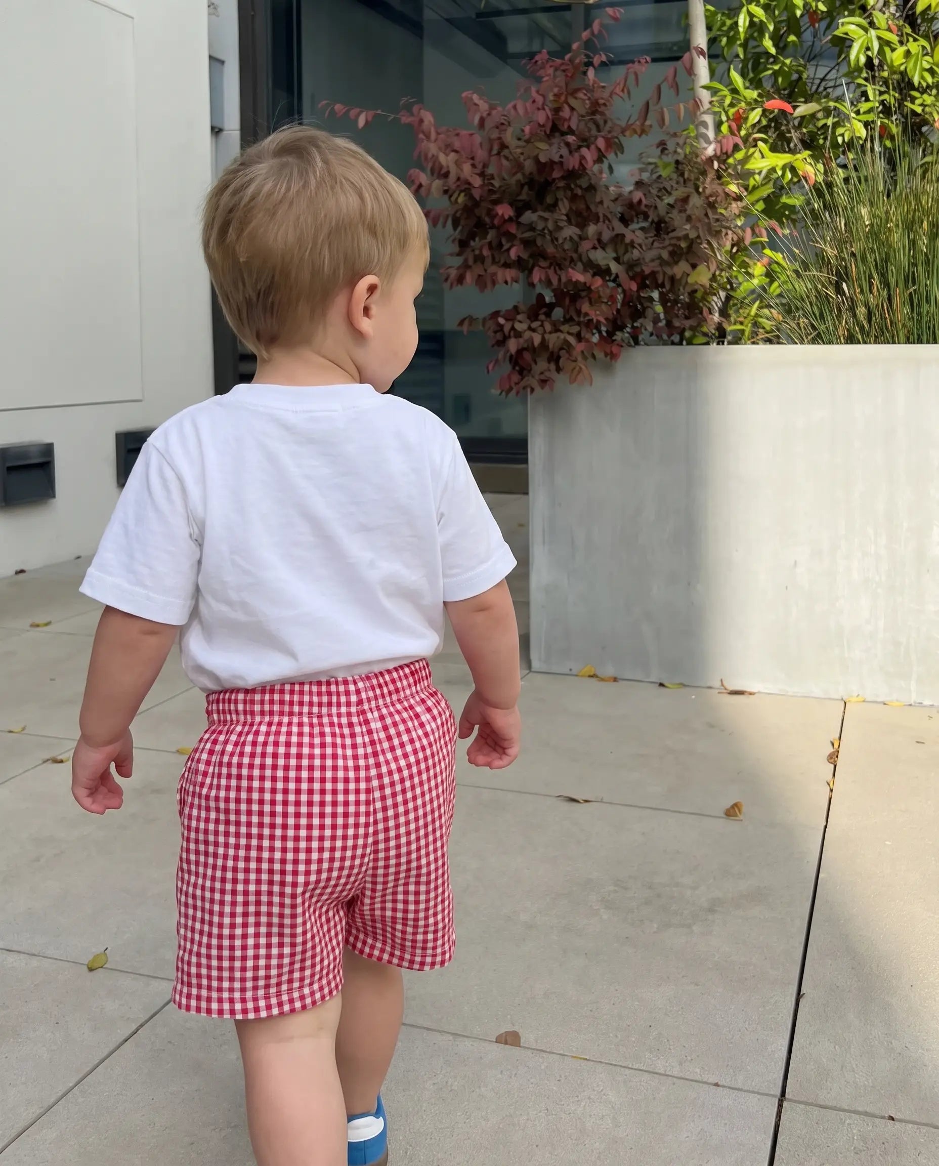 ai check-baby-shorts__boy_ref